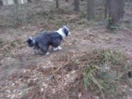 & Watching.................